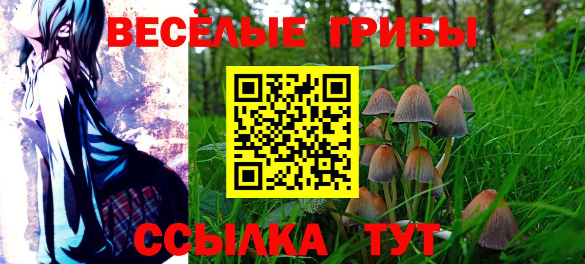 Галлюциногенные грибы ЛСД Анапа